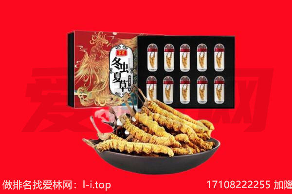 勐腊县回收虫草.jpg